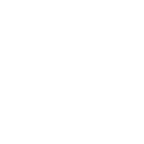 CELEBRATED 15 YEARS IN 2025